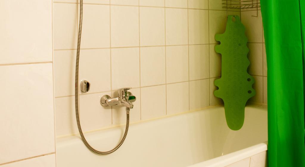 Apartment Alaune ドレスデン エクステリア 写真